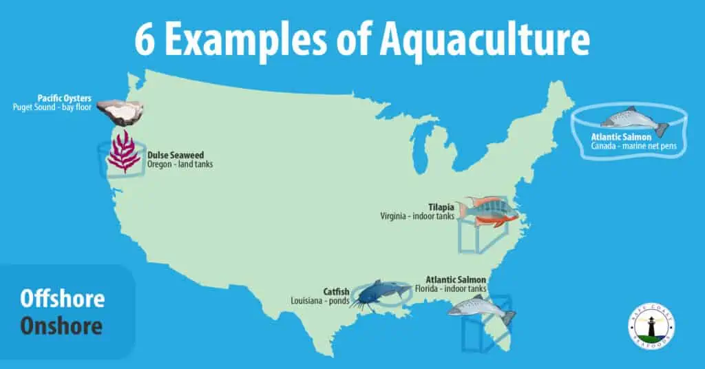 infographic showing 6 examples of aquaculture