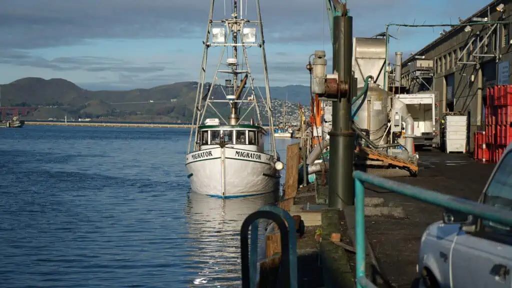 dungeness crab fishing boat