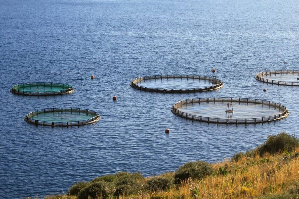 ocean net salmon pens