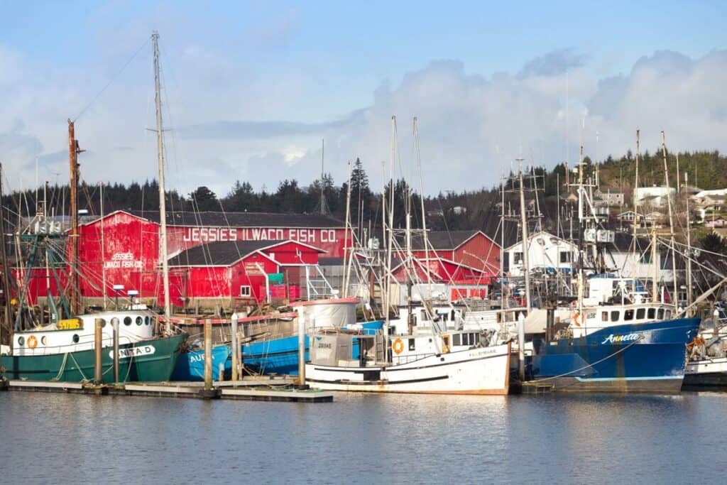 What We Do & Where We Do It - Safe Coast Seafoods