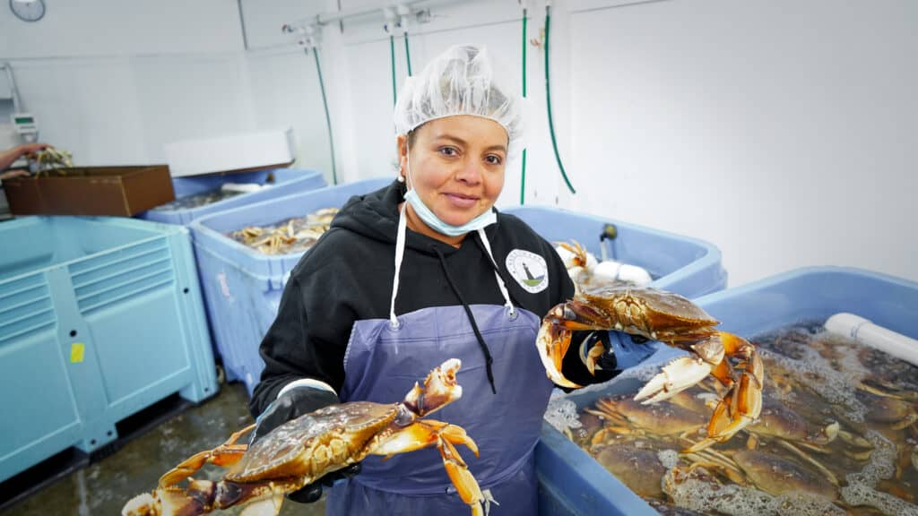 woman wholding two live dungeness crab