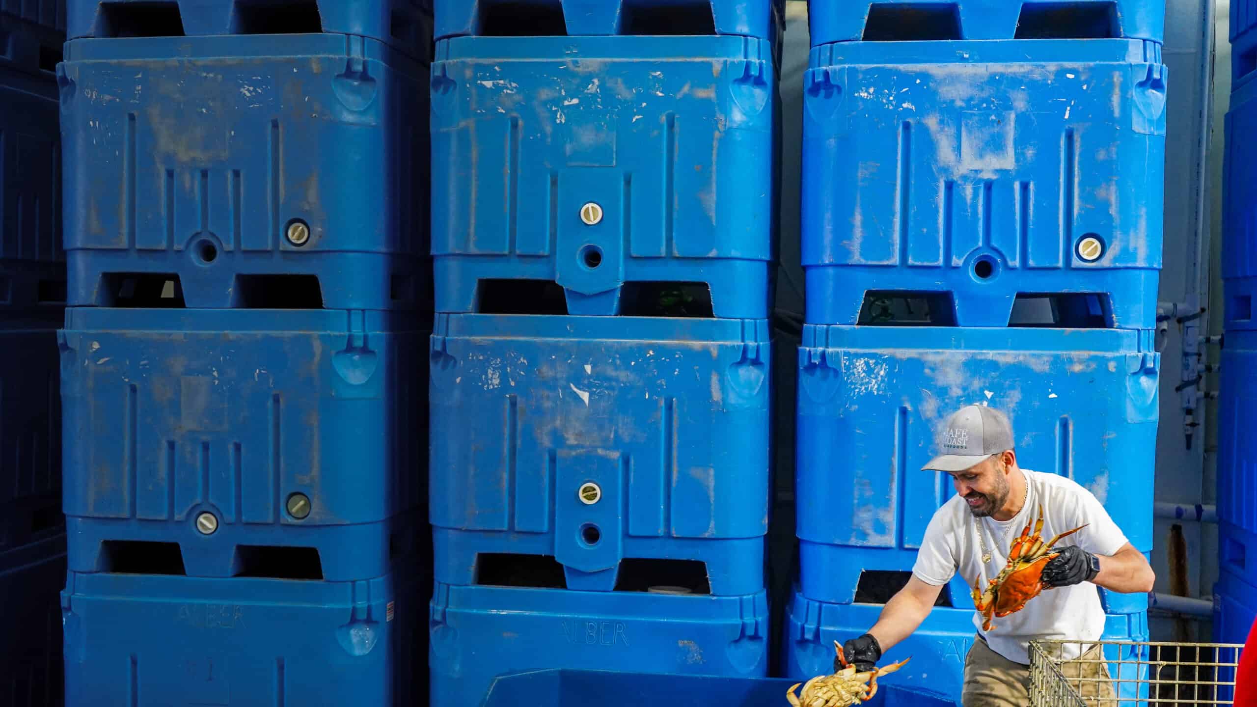 Safe Coast Seafoods