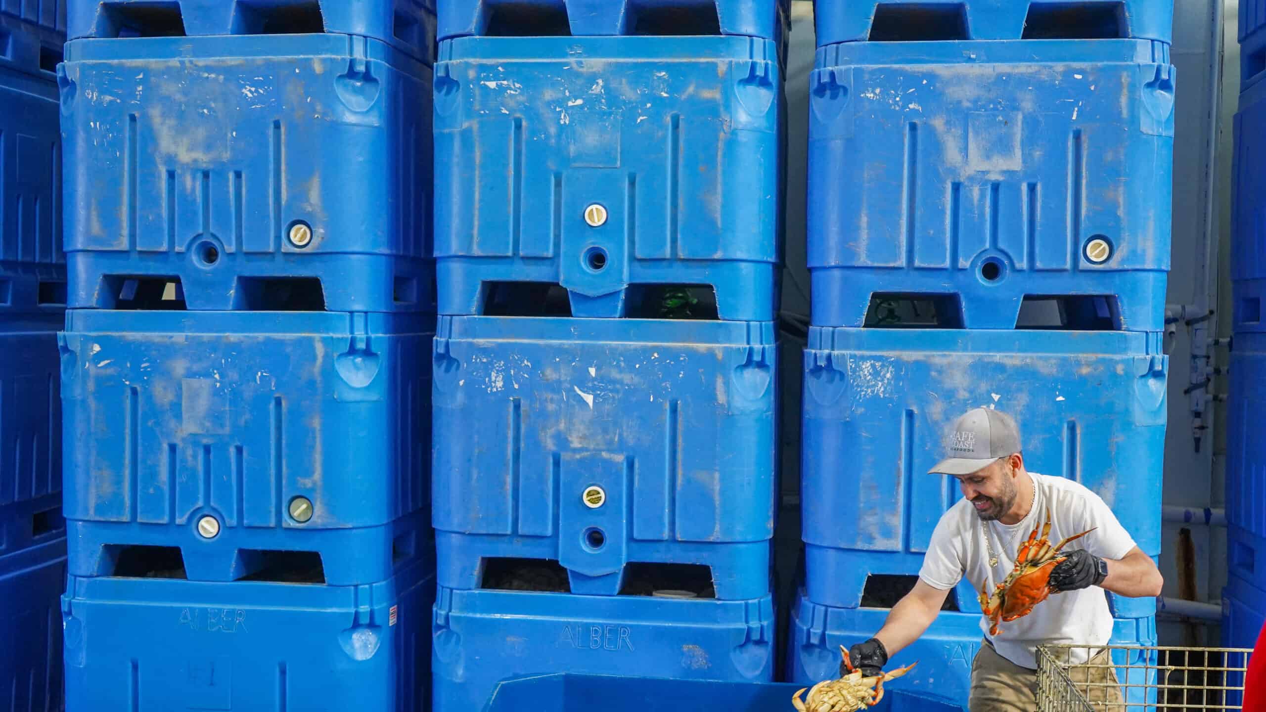 How To Earn $551/Day Using spil uden rofus